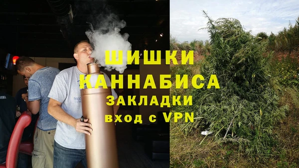 прущие грибы Абдулино
