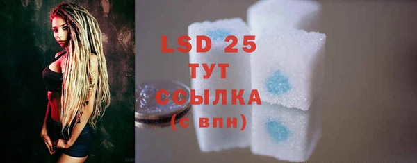 прущие грибы Абдулино
