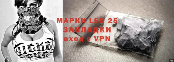 прущие грибы Абдулино