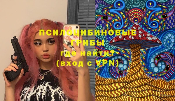 мяу мяу мука Абаза