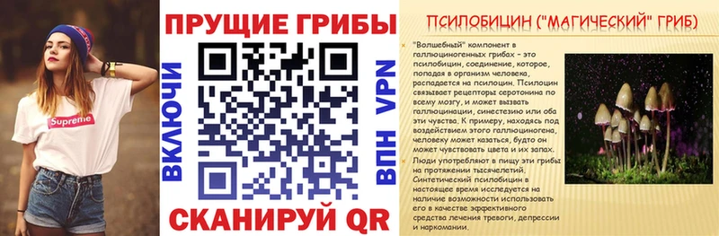Псилоцибиновые грибы Psilocybe Южа